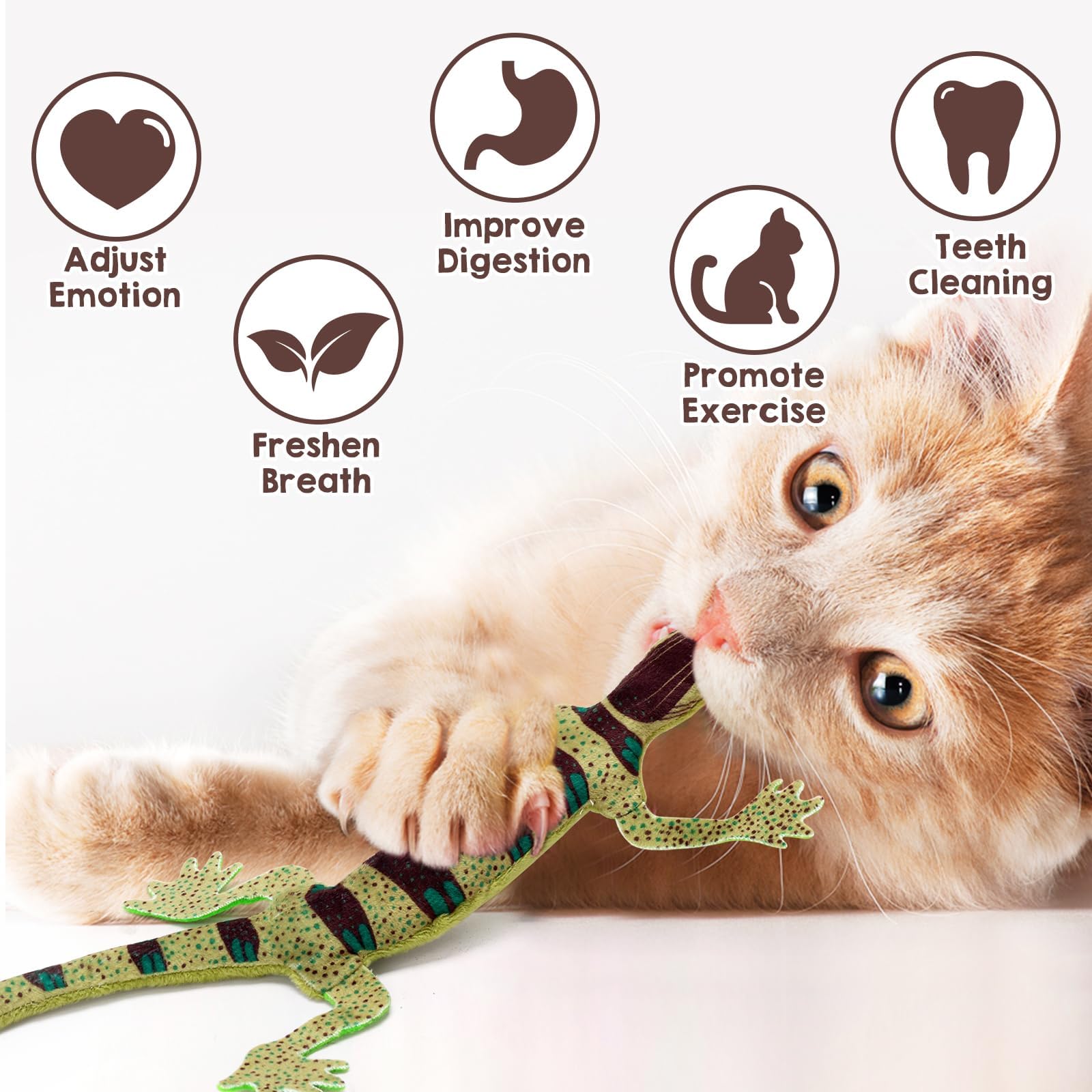 Lizard Catnip Toys Chew Bite Resistant Toys for Indoor Cats  Set of 4